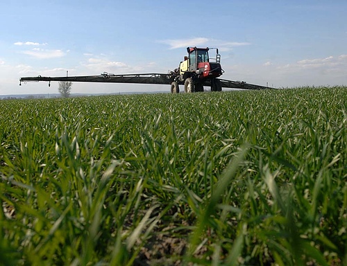 Változtak az állami földek bérbeadási szabályai