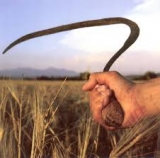 Asztalos Sándor MÉDOSZ elnök beszéde az Országgyűlés Mezőgazdasági Bizottságának Ellenőrzési albizottsági ülésén