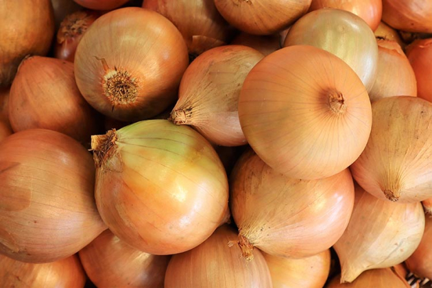 Szinte lehetetlennek tűnt, de Ukrajna hagymával is megjelenhet az EU-s piacokon