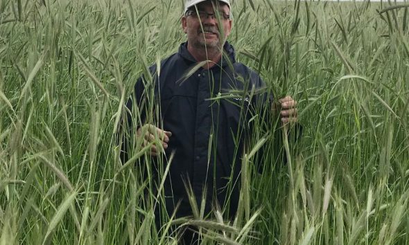 Egyre több vásárló keresi a minőségi élelmiszert