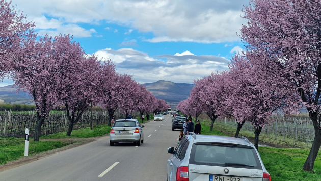 Zarándokhely lett a Mátra legszebb útja
