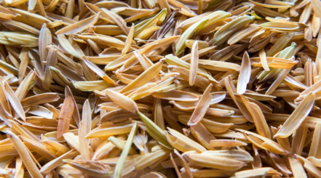 Eddig kidobtuk, pedig igazi kincs