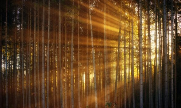 A fény napját köszöntik Szegeden