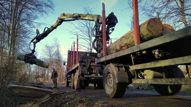 Extrém magas kockázat az erdőkben, rendőrök is beszállnak
