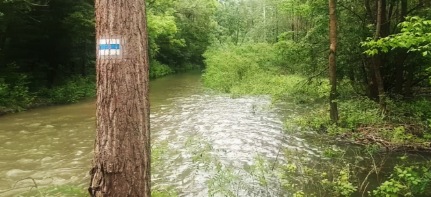 Elmosta az árhullám Gemencet, leáll az erdei kisvasút