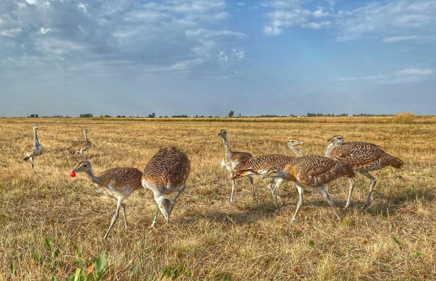 Ebben a sikerben a gazdáknak is nagy szerepük van