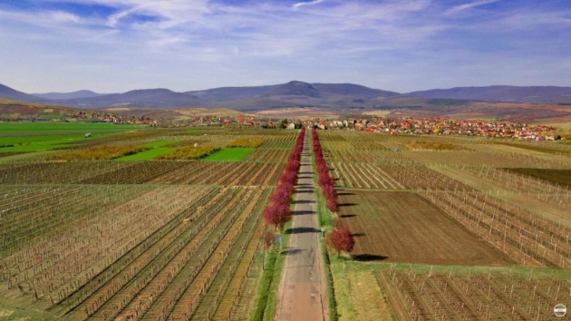 Ez Magyarország legszebb útszakasza tavasszal