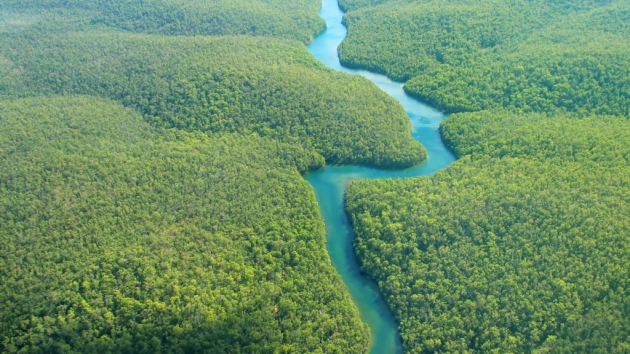 Menedék – folyók és erdők ölelésében
