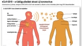 Közös szakszervezeti vélemény a koronavírusról
