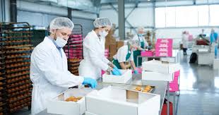 Készül Magyarország Digitális Élelmiszeripari Stratégiája