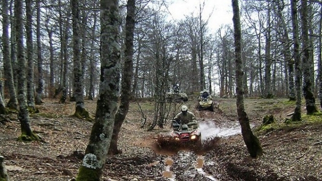 Erdei jogsértések megelőzése