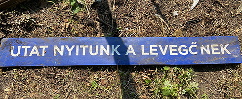 Megtisztuló állami erdők