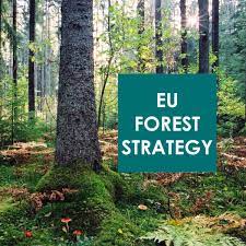 Véleményezhetők az Európai Bizottság javaslatai