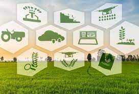 Az agrárium az egyik leginnovatívabb ágazat