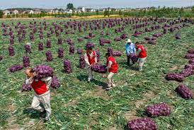 Ázsiában másképpen kezelik az inflációt
