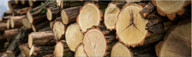 ELINDUL A HATÓSÁGI ÁRAS TŰZIFAPROGRAM