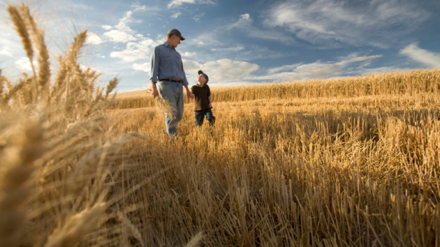 Az örök kérdés: ki fogja megtermelni az élelmiszert a jövőben Magyarországon?