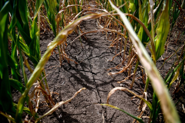 Változások a hitelkonstrukciókban