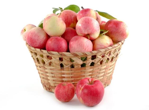 A WAPA közzétette legújabb európai almatermés-előrejelzését