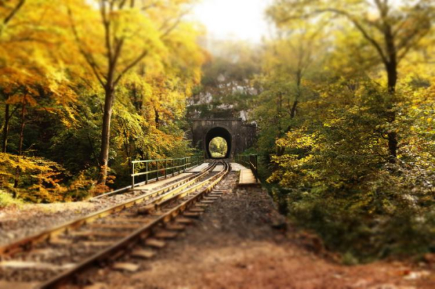 Természeti és kulturális értékeket őriznek a Bakonyi és Balaton-felvidéki erdők
