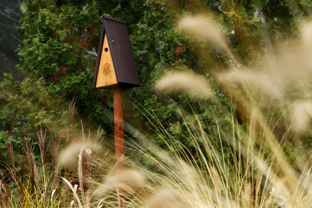Tíz település nyert madárvédelmi eszközöket az MME pályázatán