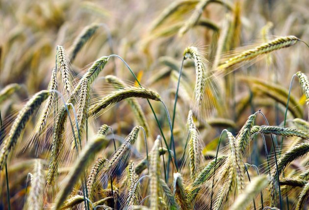 Nagy a baj, de még nagyobb a veszély