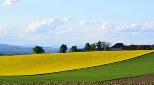 Ne maradjon fedetlen a talaj, mert elviszi a szél