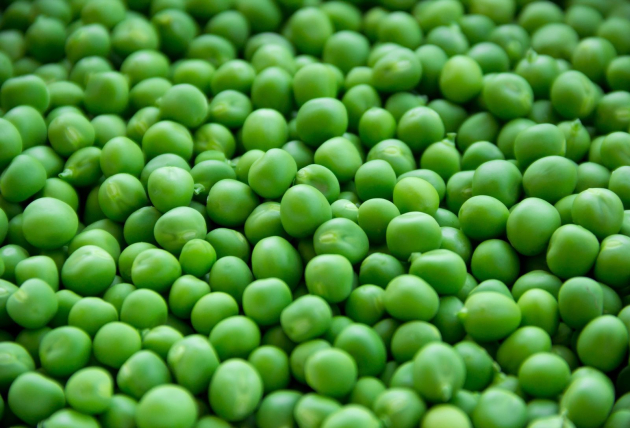 A zöldborsó fekete éve