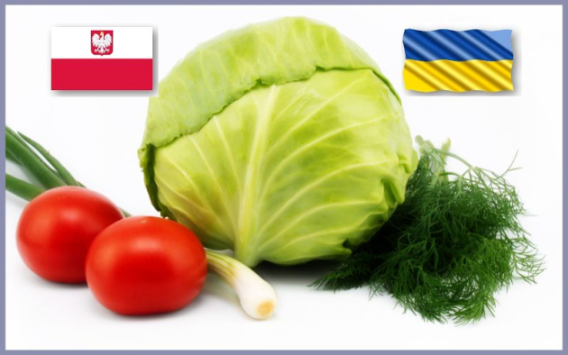 Ukrajna válasza: embargó a lengyel zöldség- és gyümölcsimportra