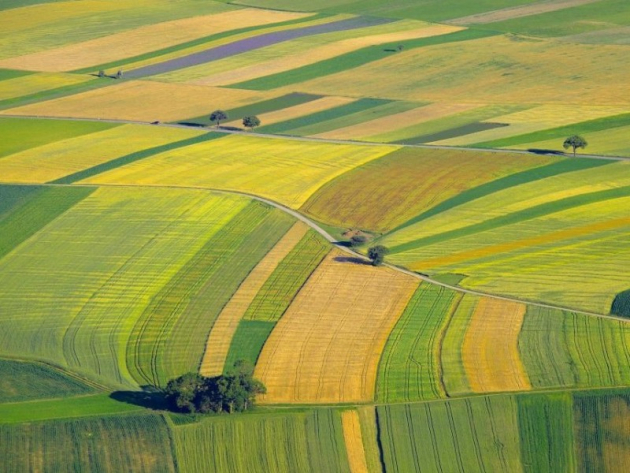 Október közepén indul az agrártámogatások előlegfizetése