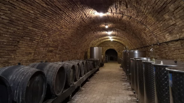 Vince-napi pincejárás 2024 Baj