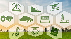 Mezőgazdaság - erdőgazdálkodás